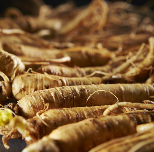 tisane ginseng de sibérie biologique