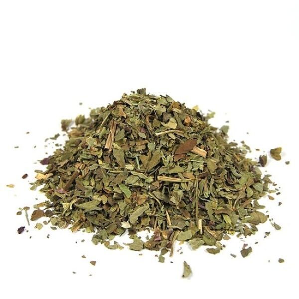 tisane basilic biologique