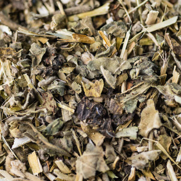 tisane guimauve biologique