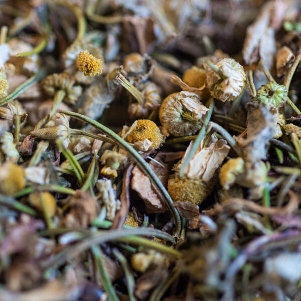 tisane foie biologique