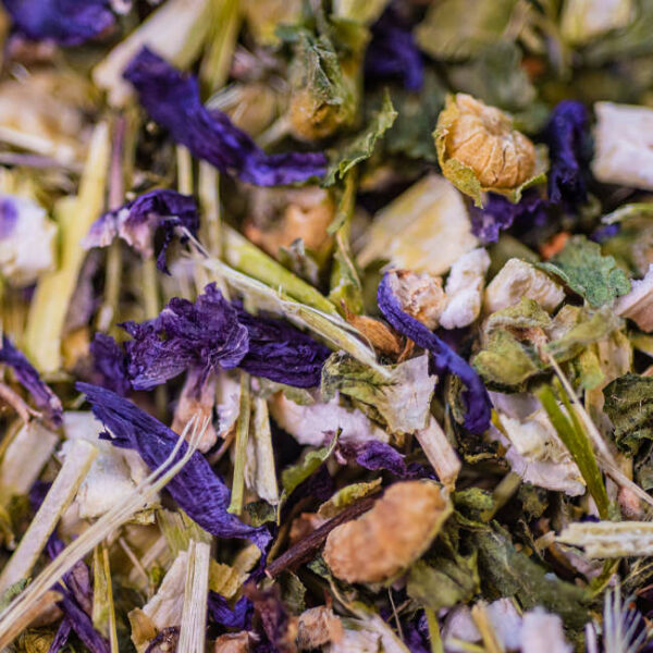 tisane mauve sommitée biologique