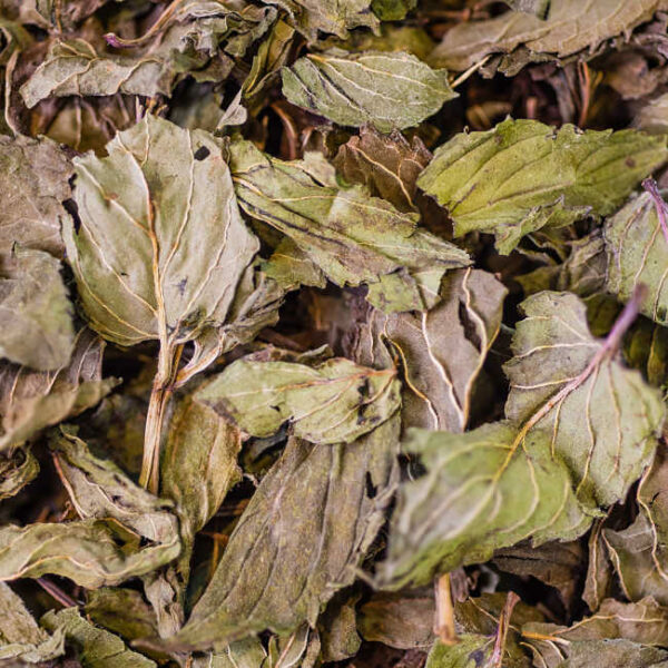 tisane menthe poivrée biologique