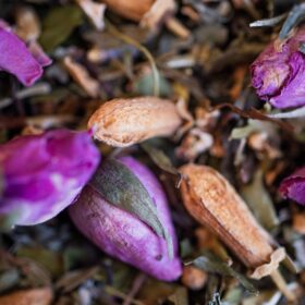 Tisane Nuits Paisibles