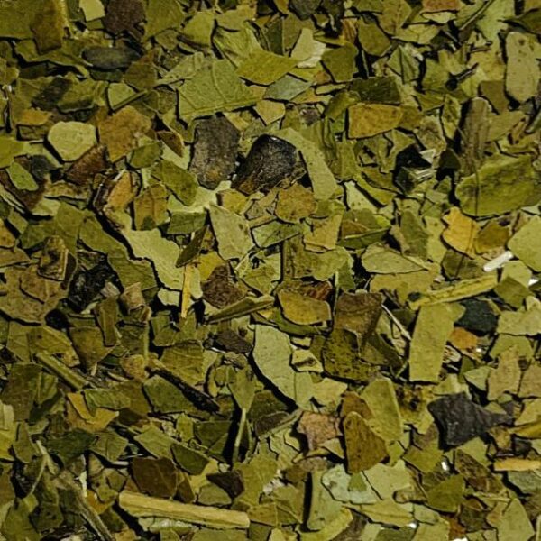 tisane maté biologique