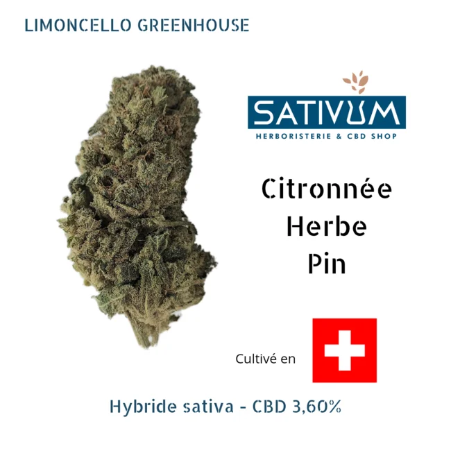 sativum-cbd-shop-limoncello cbd lille
