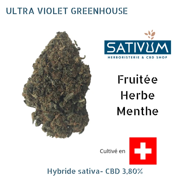 sativum-cbd-shop-ultraviolet cbd lille