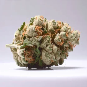 Fleurs de CBD Magic Snow