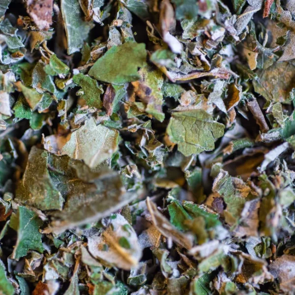 tisane framboisier bio