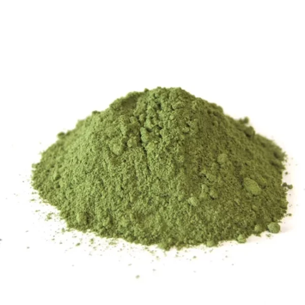 moringa biologique