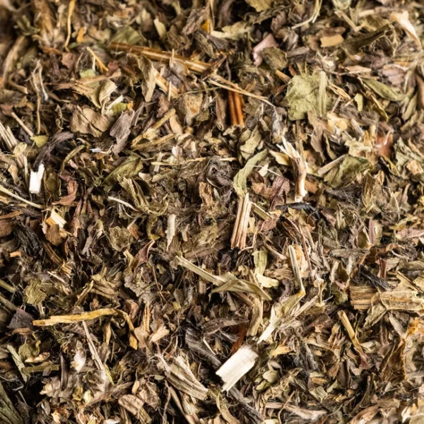 tisane plantain bio