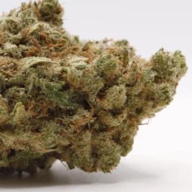 Fleurs de CBD Magic Snow