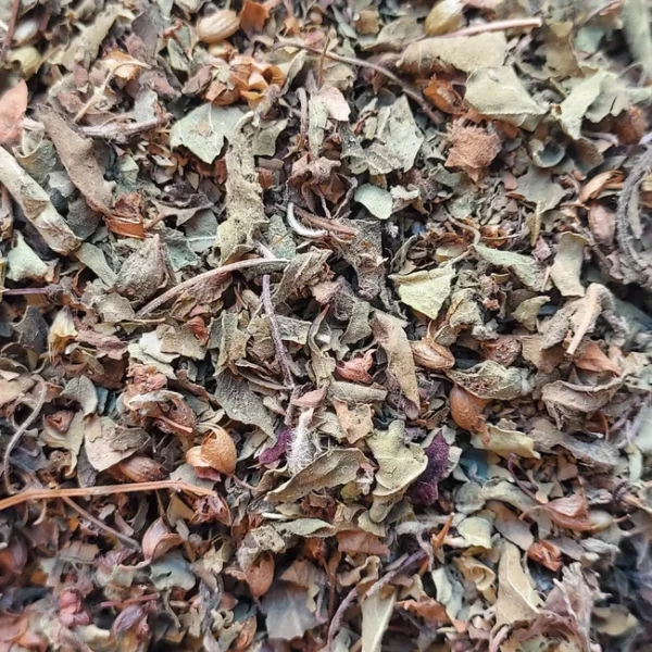 tisane basilic sacré bio