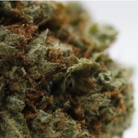 Fleurs de CBD Bruce Banner