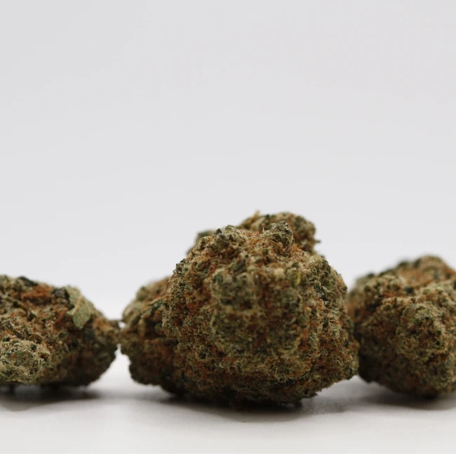 sativum-cbd-shop-kryptonite-groupe cbd lille fleurs de CBD kryptonite