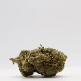 Fleurs de CBD Moby Dick