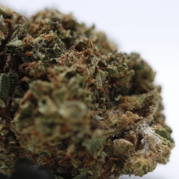 cbd lille fleurs de cbd orange tonic