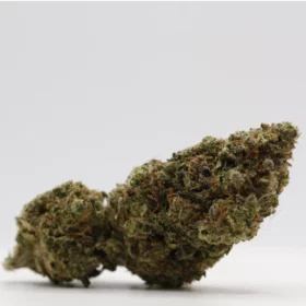 Fleurs de CBD Sherbet