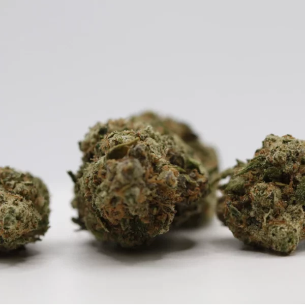 cbd lille fleurs de cbd sherbert