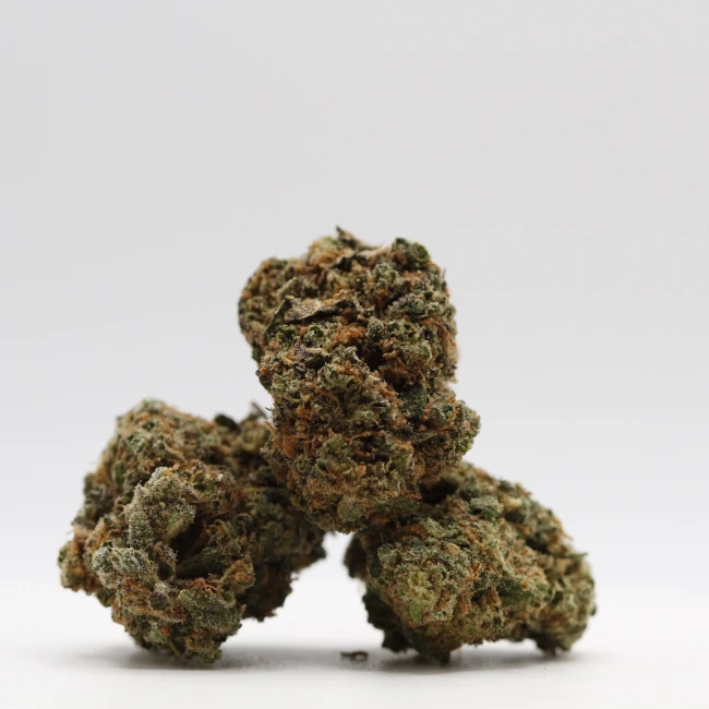 sativum-cbd-shop-fruit-loops-groupe cbd lille fleurs de cbd fruit loops