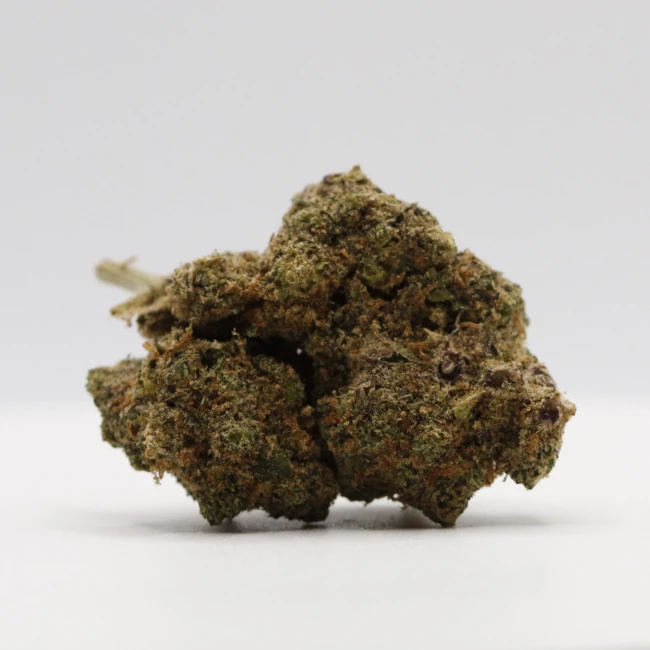 sativum-cbd-shop-fruit-loops cbd lille fleurs de cbd fruit loops