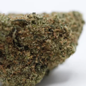 Fleurs de CBD Pineapple Express Cali (small buds)