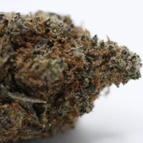 Fleurs de CBD Tropical Dream M.S CBC