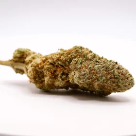 Fleurs de CBD Mela Sour