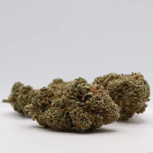 cbd lille fleurs de cbd frosty star