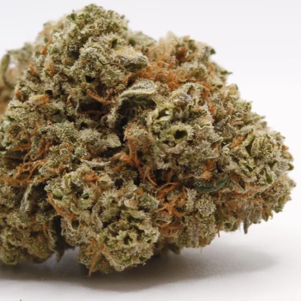 cbd lille fleurs de cbd frosty star