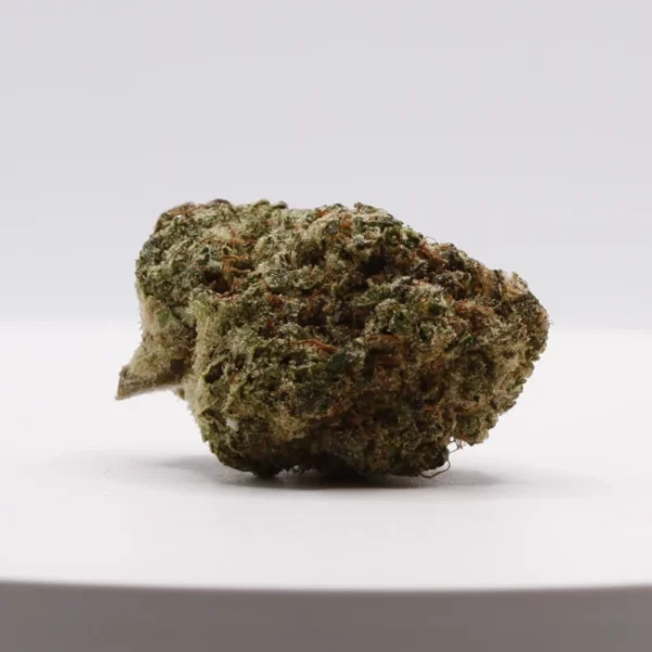cbd lille fleurs de cbd magic monster