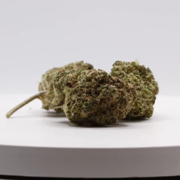 cbd lille fleurs de cbd magic monster