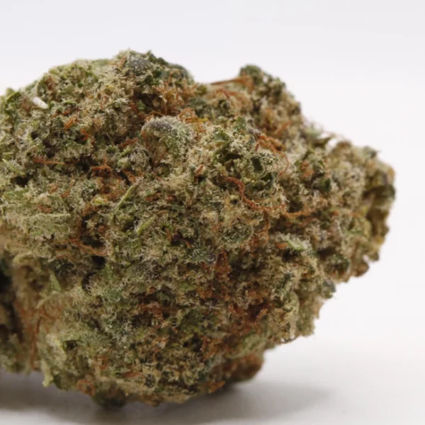 cbd lille fleurs de cbd magic monster