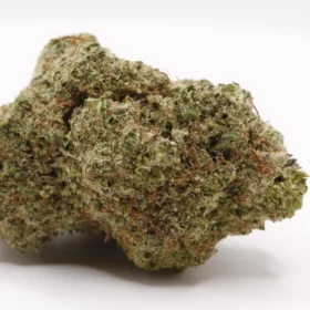 Fleurs de CBD Bubble Gum