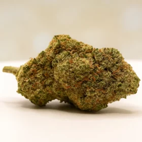 Fleurs de CBD Bubble Gum M.S CBC