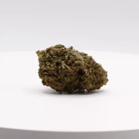 Fleurs de CBD Candy Kush