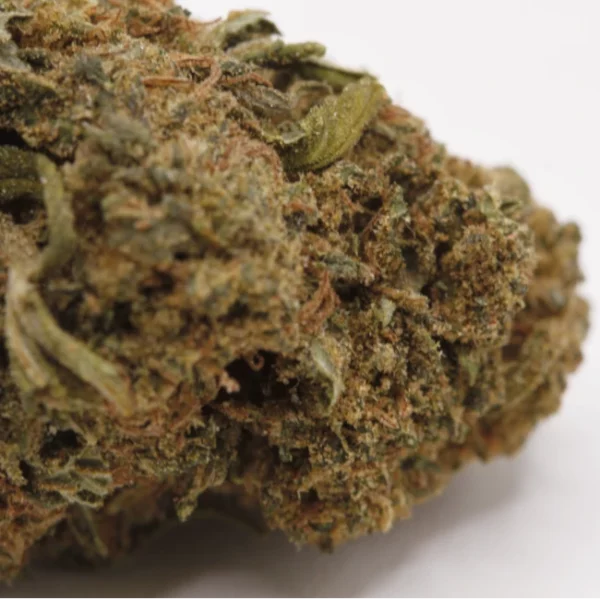 cbd lille fleurs de cbd candy kush