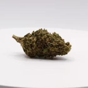 Fleurs de CBD Holy Punch M.S CBC