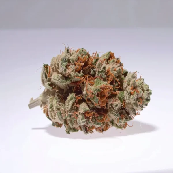 cbd lille fleurs de cbd dutch grandma