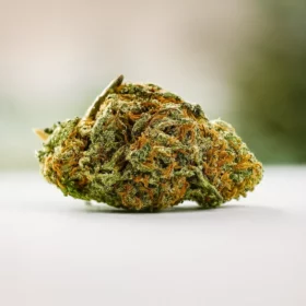 Fleurs de CBD Exotics