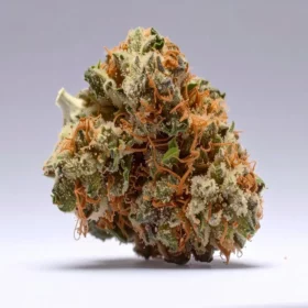 Fleurs de CBD Guava