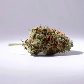 Fleurs de CBD Super Lemon Haze