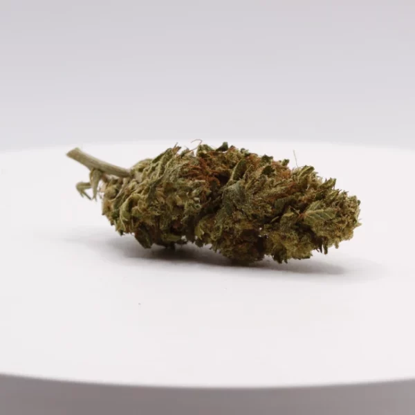 cbd lille fleurs de cbd super lemon haze