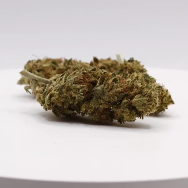 cbd lille fleurs de cbd super lemon haze