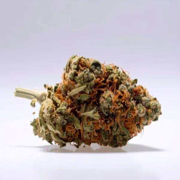 cbd lille fleurs de cbd tropical dream