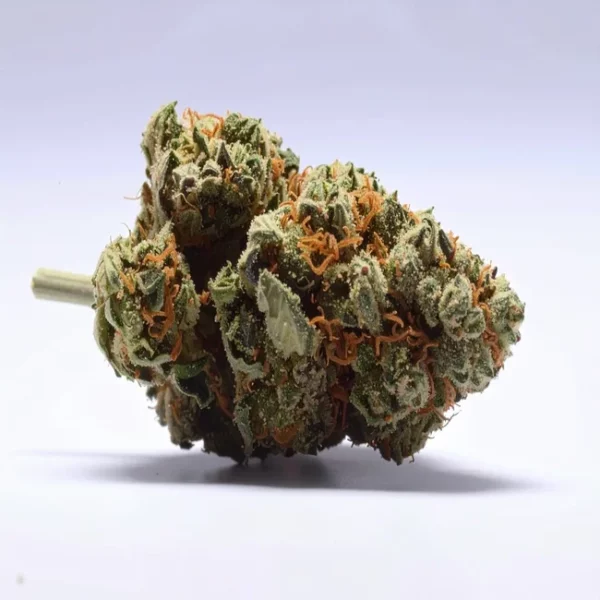 cbd lille fleurs de cbd tropical haze revuelto