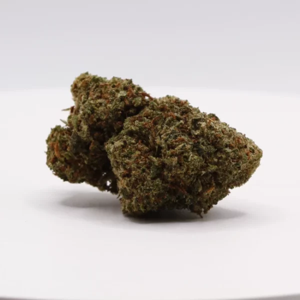 cbd lille fleurs de cbd tropical haze revuelto
