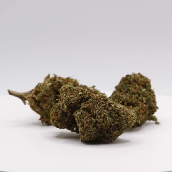 cbd lille fleurs de cbd tropical haze revuelto