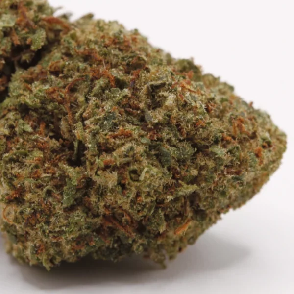 cbd lille fleurs de cbd tropical haze revuelto