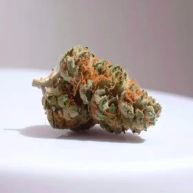 Fleurs de CBD Zkittlez