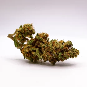 Fleurs de CBD Iwazaru